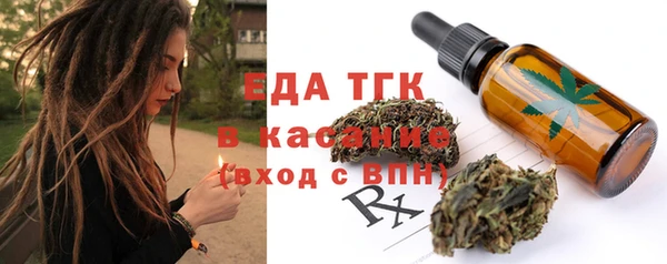 индика Балахна