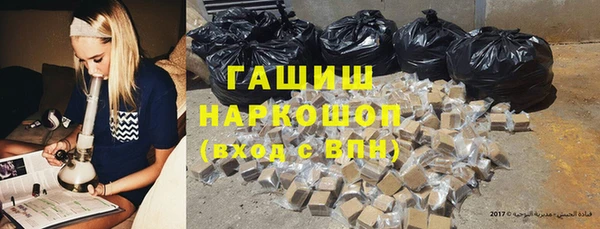 индика Балахна