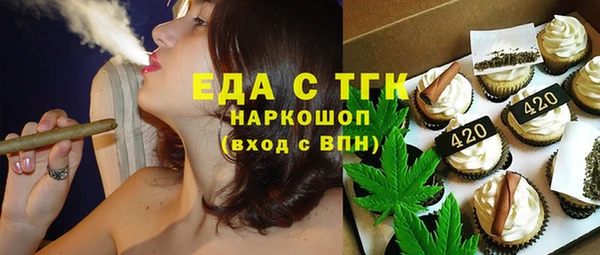 индика Балахна