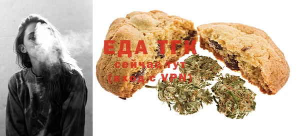 индика Балахна