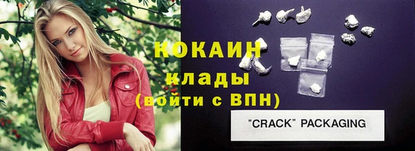 индика Балахна